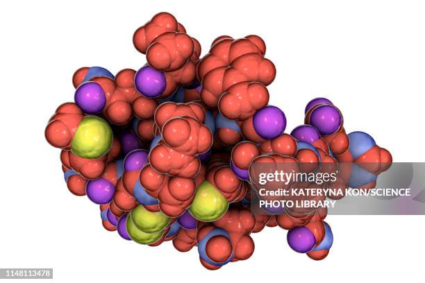 Molecule Of Scorpion Chlorotoxin High-Res Vector Graphic