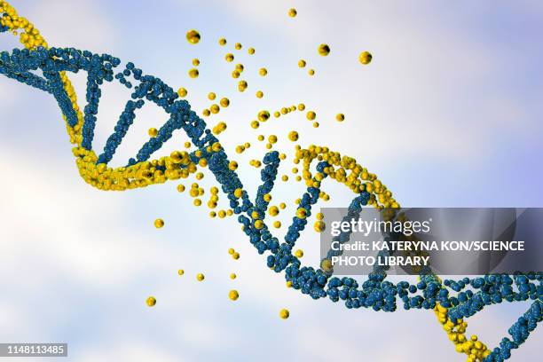 dna damage, illustration - breaking down stock illustrations