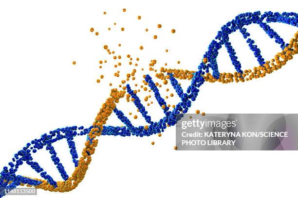 dna damage, illustration - genetic disorder stock illustrations