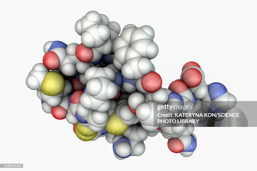 Molecule of scorpion chlorotoxin