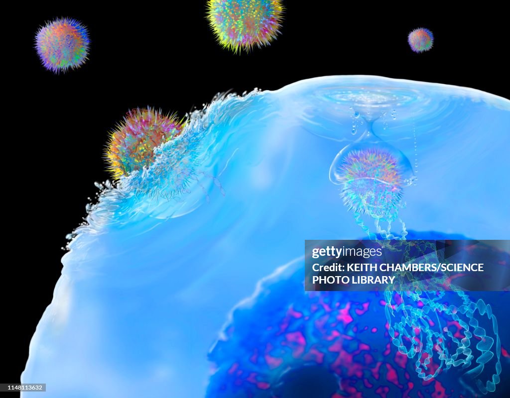 CAR T cell immunotherapy, illustration