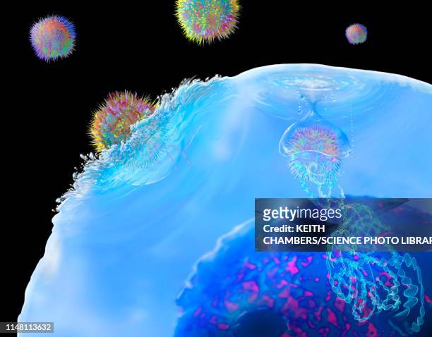 car t cell immunotherapy, illustration - biological cell stock pictures, royalty-free photos & images