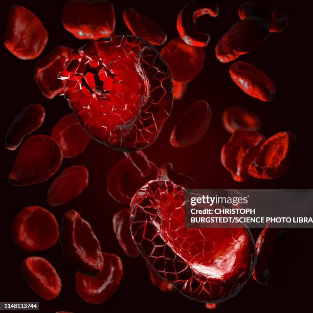 disintegrating red blood cells, illustration - cell destruction stock pictures, royalty-free photos & images