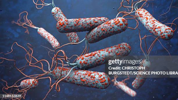 cholera bacteria, illustration - コレラ菌点のイラスト素材／クリップアート素材／マンガ素材／アイコン素材