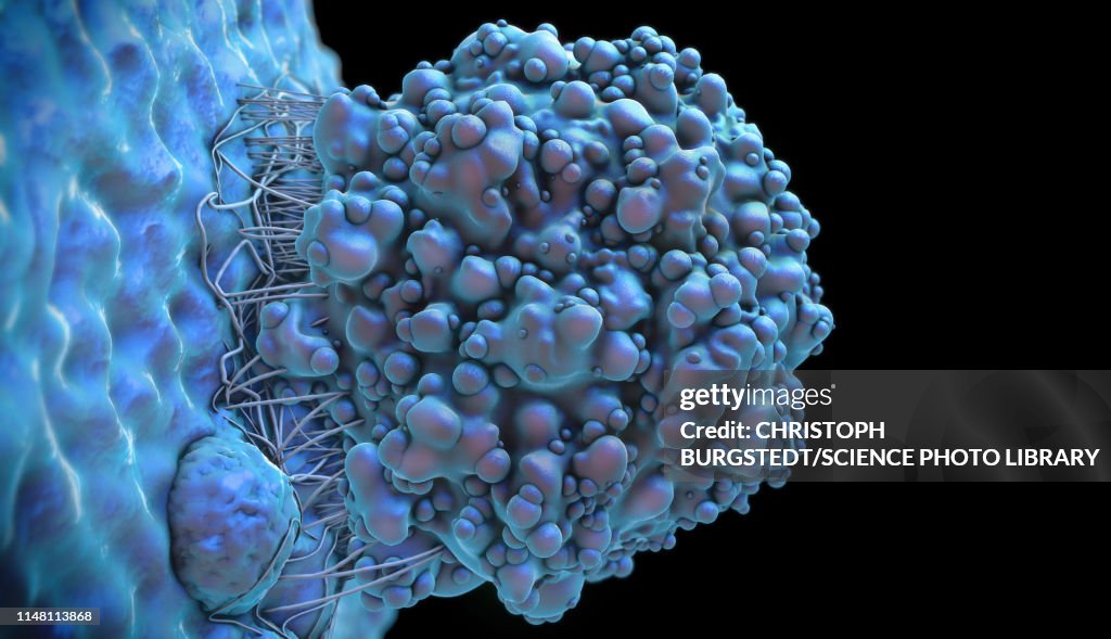Cancer Cell With Ruler Cancer Cell Illustration High-Res Vector Graphic - Getty Images