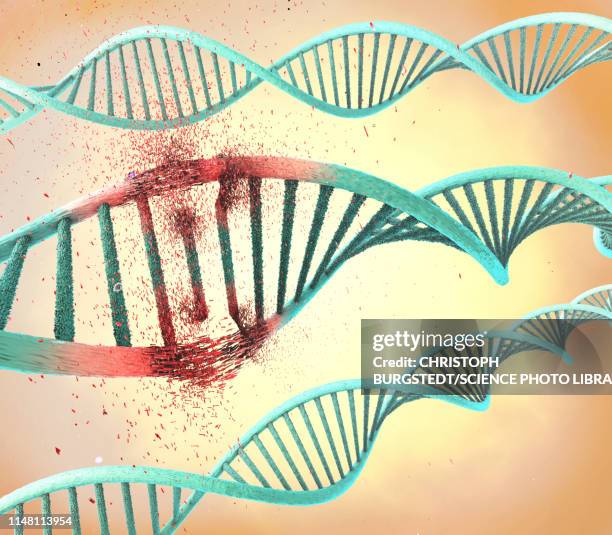 damaged dna molecule, illustration - deformed stock illustrations