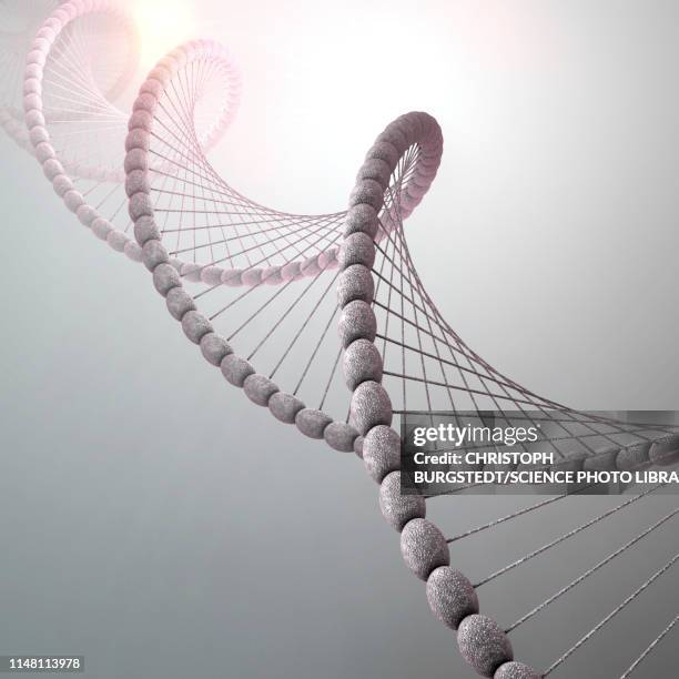 dna molecule, illustration - chromosome stock-grafiken, -clipart, -cartoons und -symbole