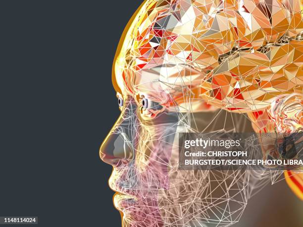 Head Brain Abstract 26,571 Abstract Human Head Illustration High Res Illustrations - Getty ...