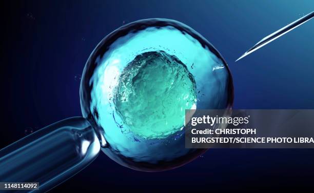 ivf, illustration - chemistry lab stock illustrations