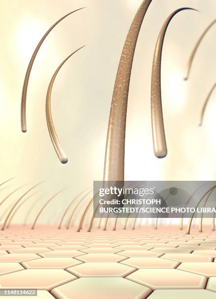 hair loss, conceptual illustration - human skin close up stock illustrations