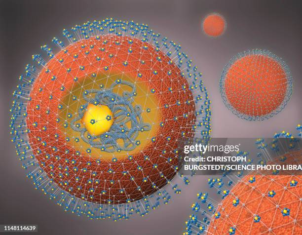 hepatitis virus, illustration - hepatitis 幅插畫檔、美工圖案、卡通及圖標