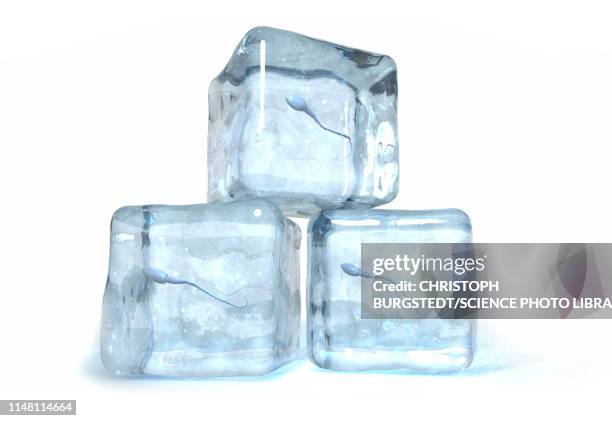 frozen sperm, conceptual illustration - cryopreservation stock illustrations