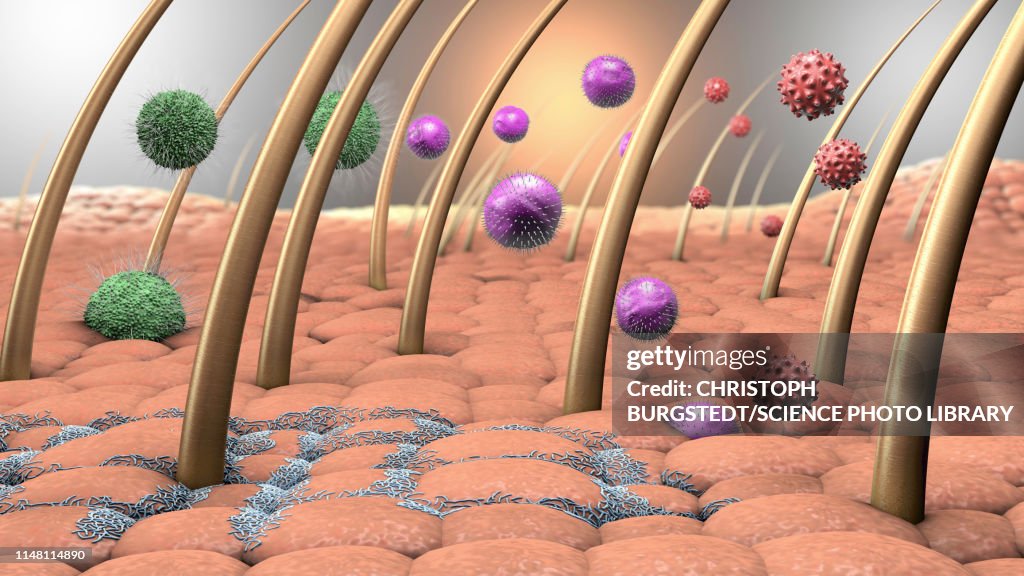 Bacteria and viruses on human skin, illustration