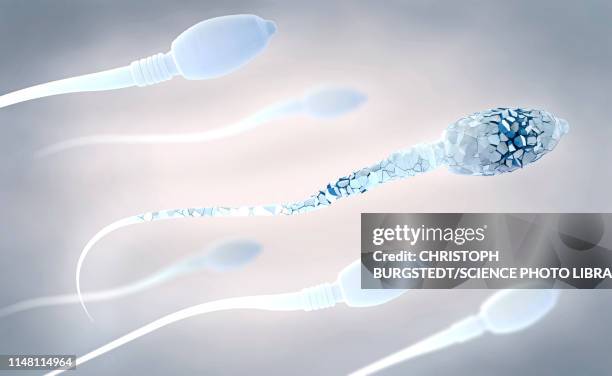 damaged sperm, illustration - sperm stock illustrations