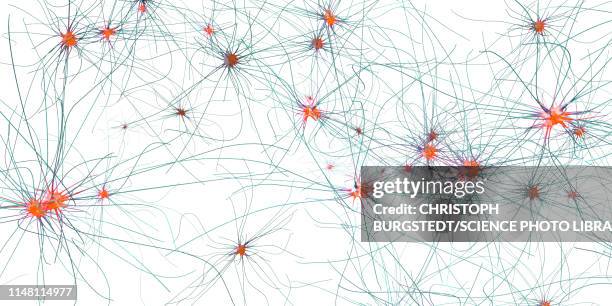 nerve cells, illustration - schizophrenia stock illustrations