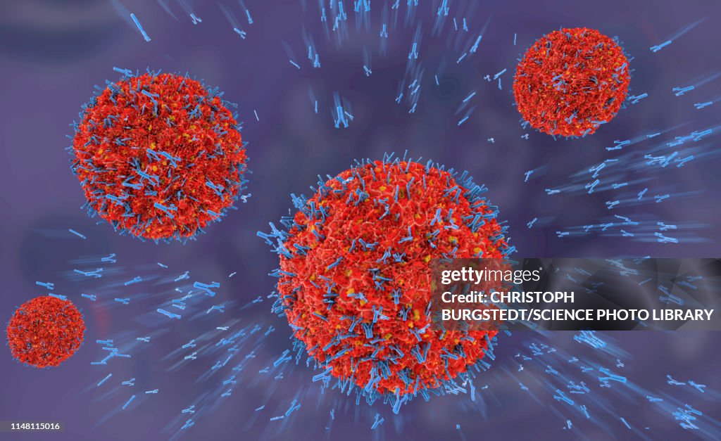 Antibodies attacking virus particles, illustration