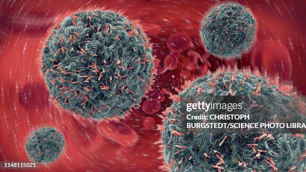 antibodies attacking virus particles, illustration - b cell stock pictures, royalty-free photos & images