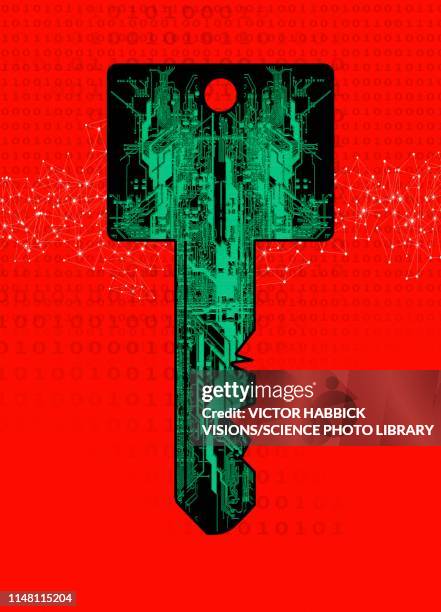 internet security, conceptual illustration - passwort stock-grafiken, -clipart, -cartoons und -symbole