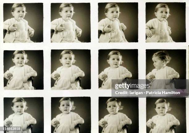 remember those polyfotos - baby sussex stock pictures, royalty-free photos & images