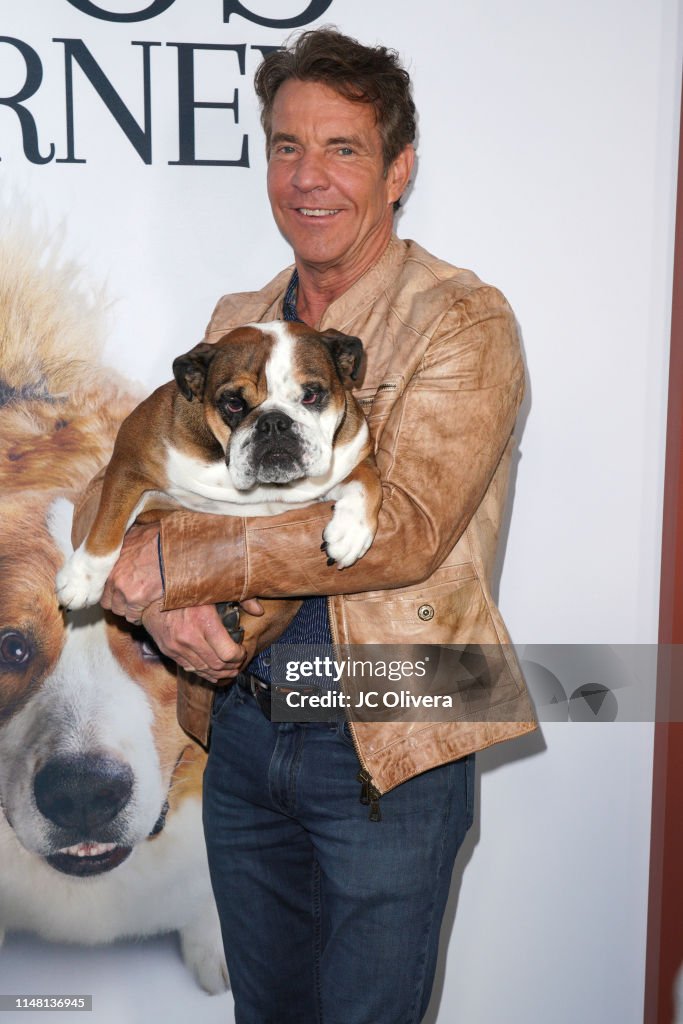 Premiere Of Universal Pictures' "A Dog's Journey" - Arrivals