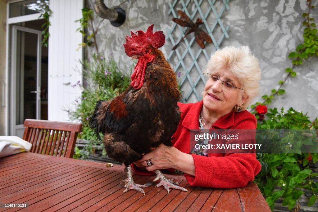 FRANCE-ANIMAL-TRIAL