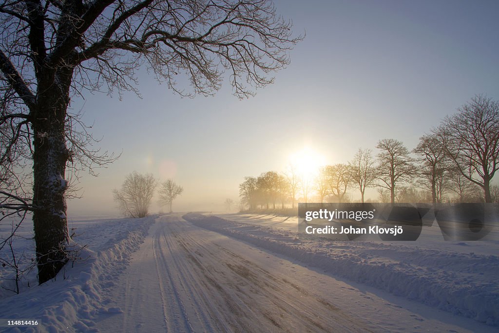 Snow covered landscape