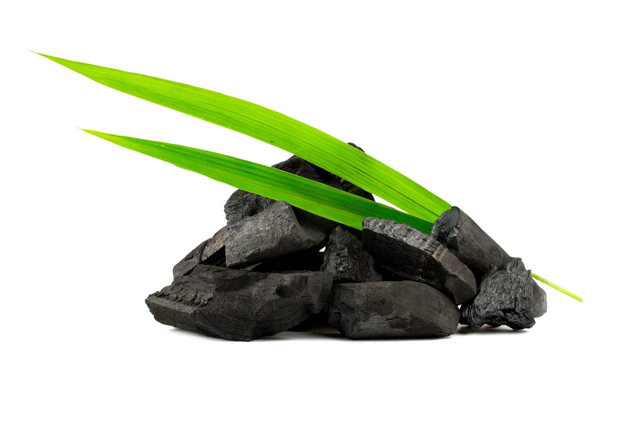 bamboo charcoal