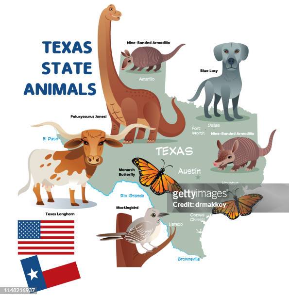 ilustraciones, imágenes clip art, dibujos animados e iconos de stock de texas state animals - mockingbird