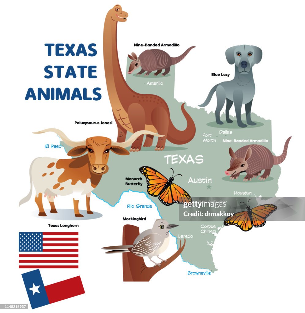 Texas State Animals