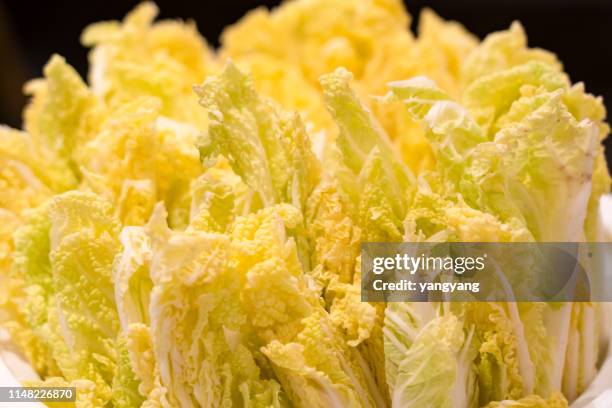 chinese cabbage - chinese cabbage stock pictures, royalty-free photos & images