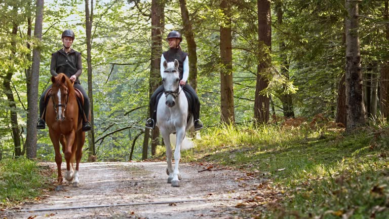 6,904 Woman Mounting Horse Stock Videos, Footage, & 4K Video Clips ...