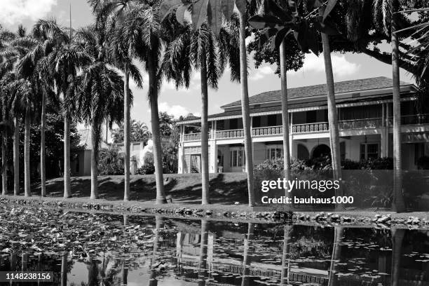 tropical house with pond and palm trees captured in black and white - plantation florida stock pictures, royalty-free photos & images