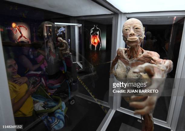 Visitors watch a human body at "Bodies:The Exhibition" in Bogota on June 5, 2019. The exhibition presents human bodies that have been preserved...