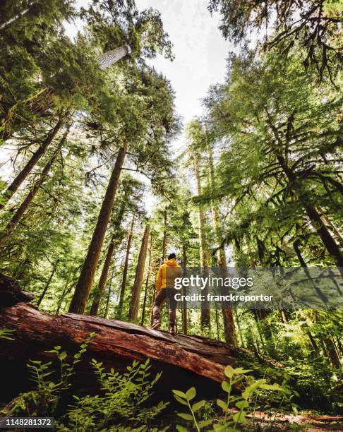 de mens van de vrijheid in de staat van washington - pacific northwest staat stockfoto's en -beelden