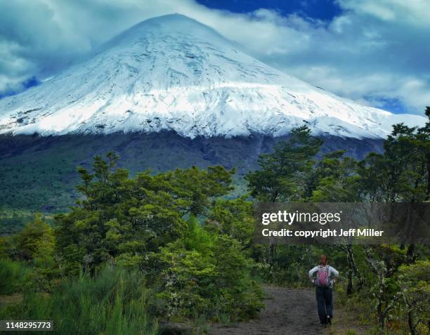 woman hiking towards volcán osorno, ensenada, chile. - puerto varas stock pictures, royalty-free photos & images