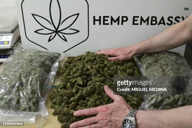 Picture taken on June 5, 2019 shows an employee weighing and packaging Marijuana buds, often simply called weed or pot, which is the unprocessed form...