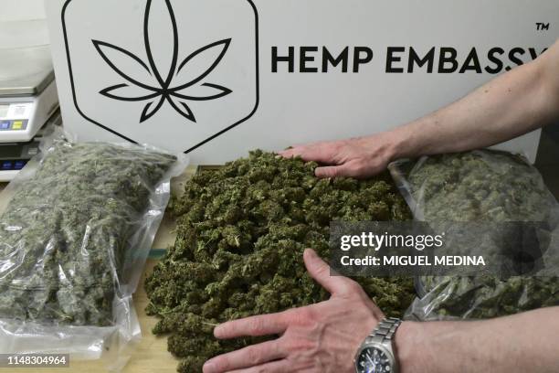 Picture taken on June 5, 2019 shows an employee weighing and packaging Marijuana buds, often simply called weed or pot, which is the unprocessed form...