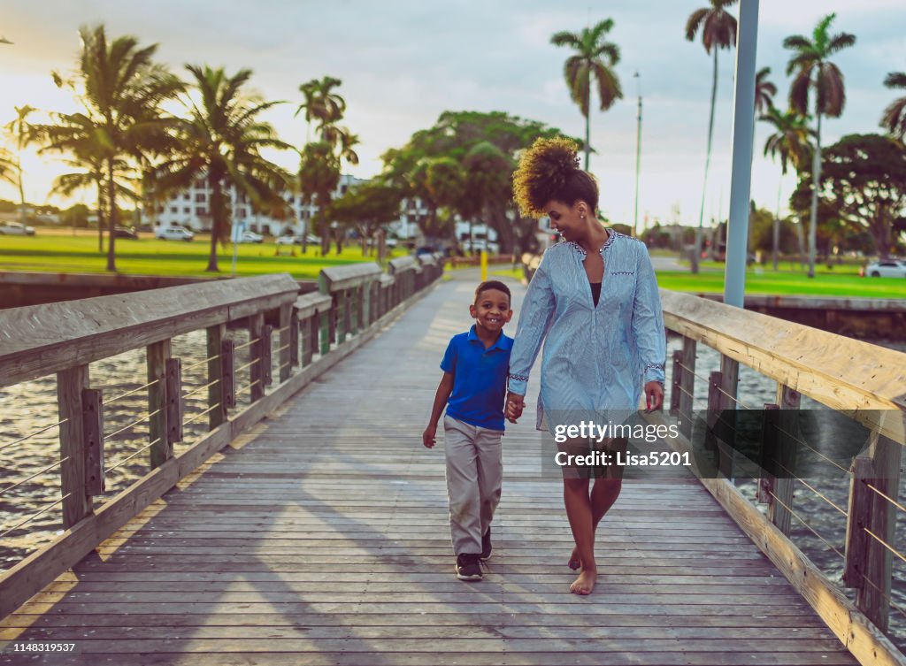 Matriz e sol na família atrativa do americano africano do cais