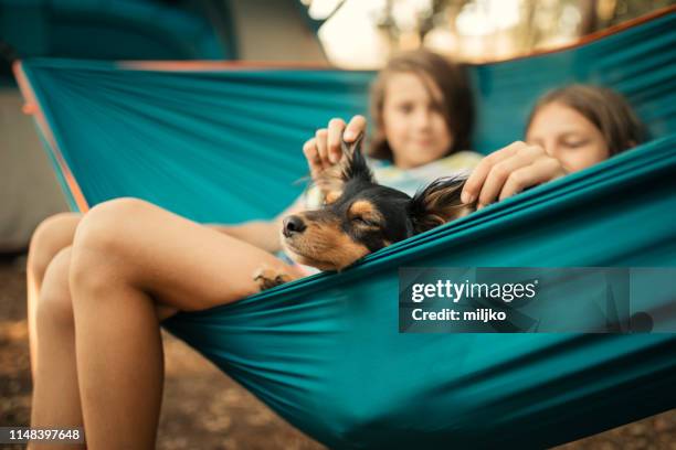 children relaxing in hammock with dog - campsite stock pictures, royalty-free photos & images