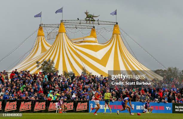 General view as Jason Johannisen of the Bulldogs competes for the ball as the circus takes place next to the ground during the round eight AFL match...