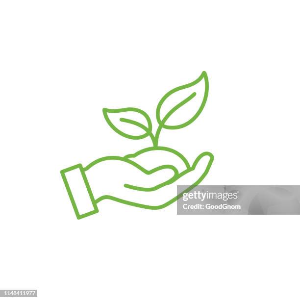 organic outline icon - seedling stock illustrations