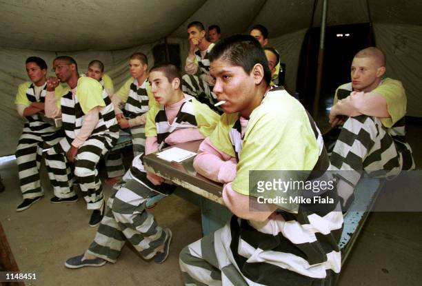 Teenage inmates inside a tent at the Maricopa County "Pup Tent City" jail complex for juveniles in Phoenix December 23, 1998. Pup Tents is the third...