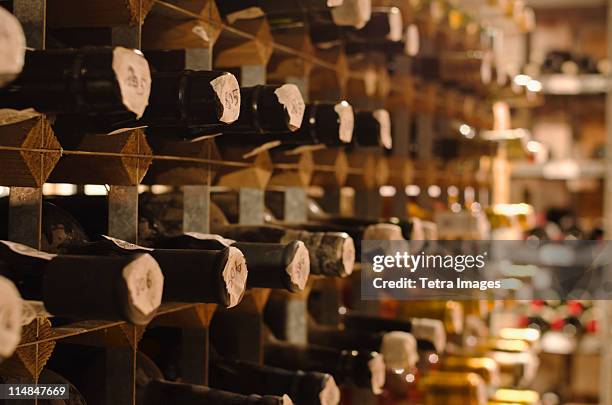 united kingdom, bristol, old wine bottles on cellar shelves - cellar stock pictures, royalty-free photos & images