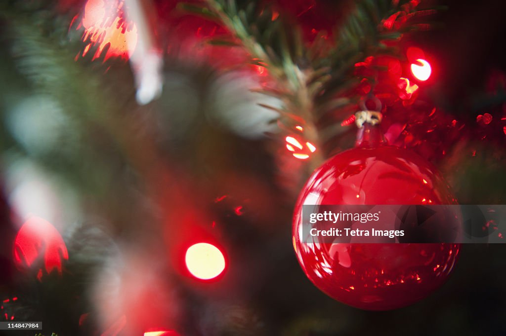 Christmas decoration hanging on Christmas tree, studio shot