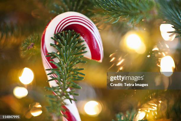 close-up of candy cane hanging on christmas tree, studio shot - candy cane stock pictures, royalty-free photos & images