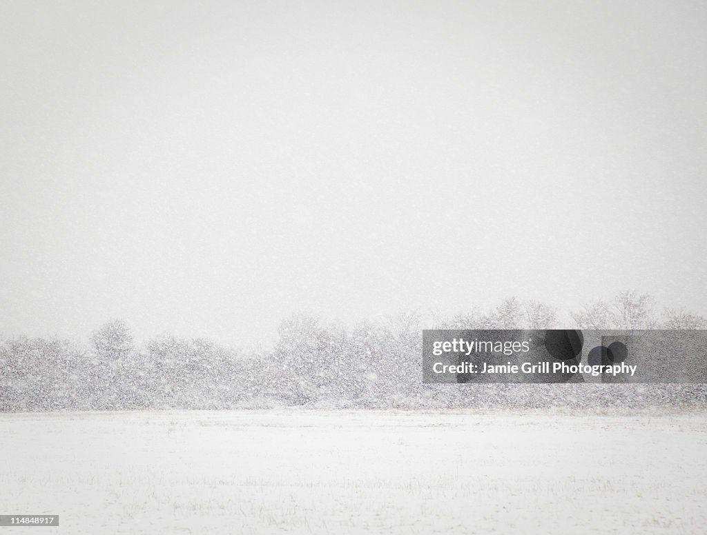 USA, New York State, Rockaway Beach, snowstorm