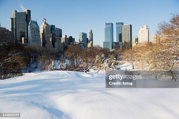 usa, new york city, view of central park in winter with manhattan skyline in background - central park snow stock pictures, royalty-free photos & images