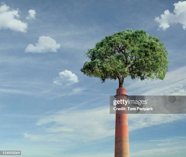 tree growing from smoke stack - schornstein stock-fotos und bilder