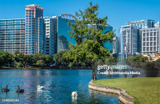 lake eola midday - orlando florida lake eola stock pictures, royalty-free photos & images