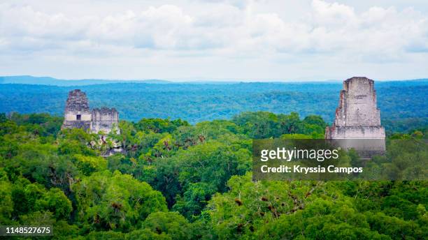 tikal pyramids view from temple iv - guatemala - tikal stock pictures, royalty-free photos & images